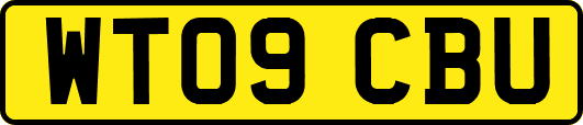 WT09CBU