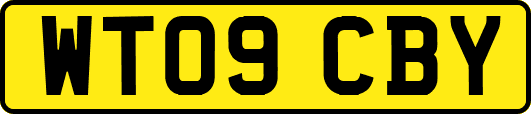 WT09CBY