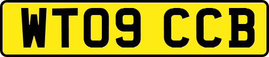 WT09CCB