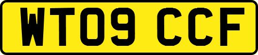 WT09CCF