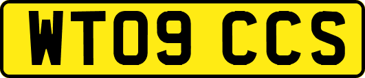 WT09CCS