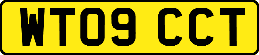 WT09CCT