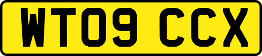 WT09CCX