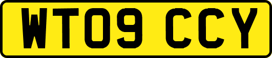 WT09CCY
