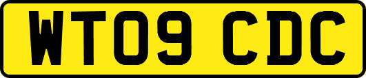 WT09CDC