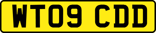 WT09CDD