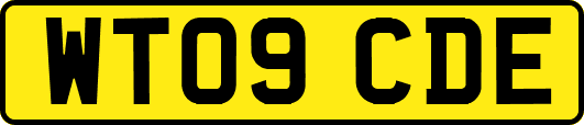 WT09CDE