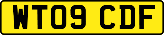 WT09CDF