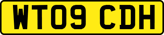 WT09CDH