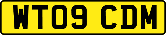 WT09CDM