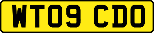 WT09CDO