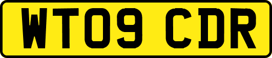 WT09CDR