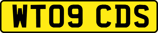 WT09CDS