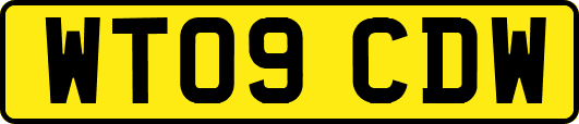WT09CDW