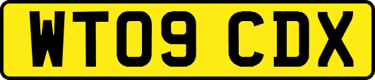 WT09CDX