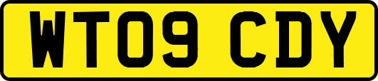 WT09CDY