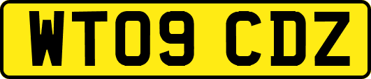 WT09CDZ