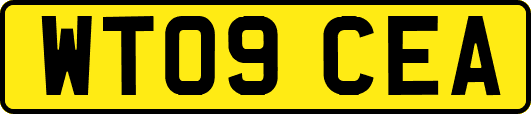 WT09CEA