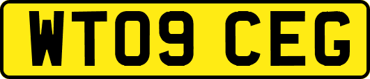 WT09CEG