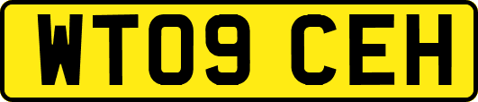 WT09CEH