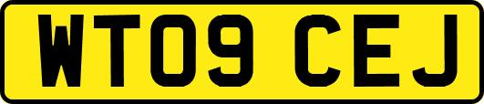 WT09CEJ
