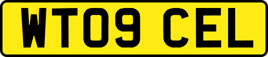 WT09CEL