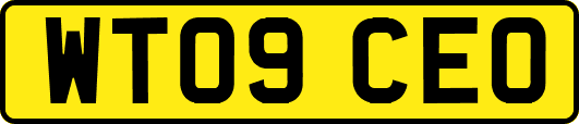 WT09CEO