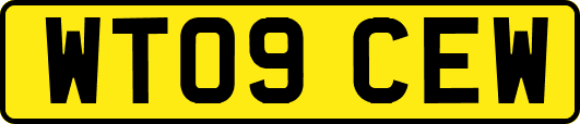 WT09CEW