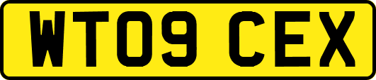 WT09CEX