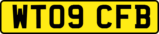 WT09CFB