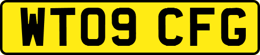 WT09CFG