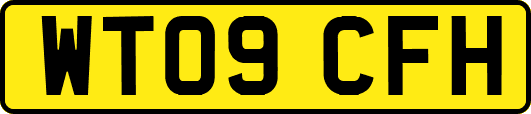 WT09CFH