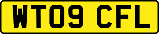 WT09CFL