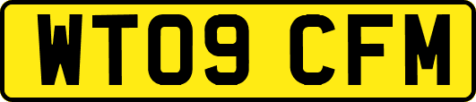 WT09CFM