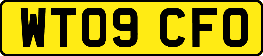 WT09CFO