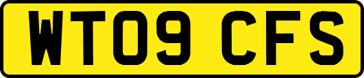 WT09CFS