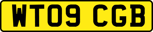 WT09CGB