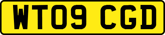 WT09CGD