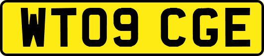 WT09CGE