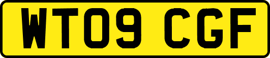 WT09CGF