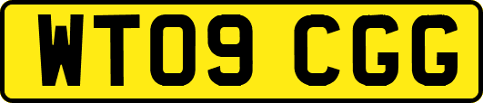 WT09CGG