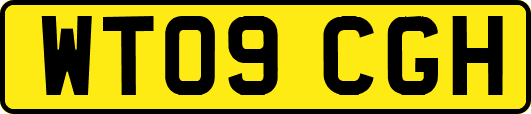 WT09CGH