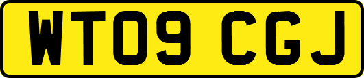 WT09CGJ
