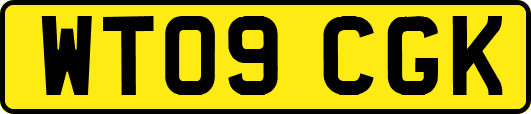 WT09CGK