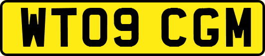 WT09CGM