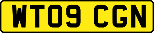WT09CGN