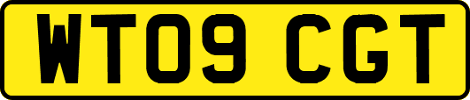 WT09CGT