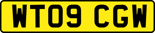 WT09CGW