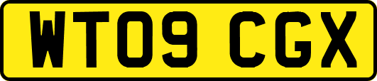 WT09CGX