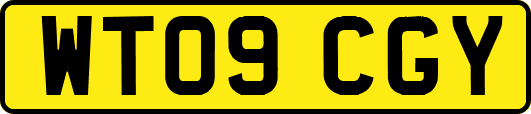 WT09CGY